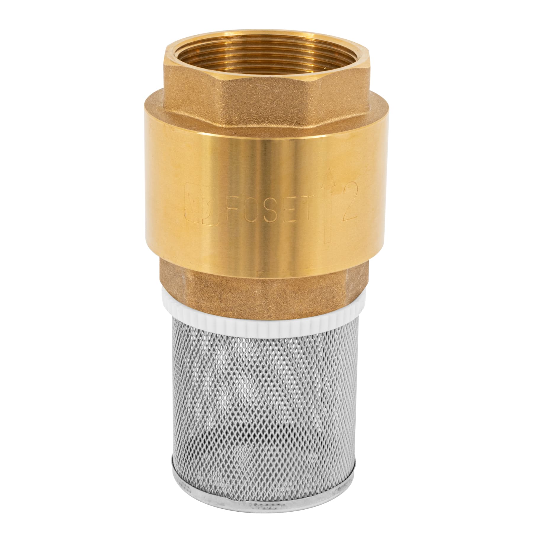 Pichancha con rejilla acero inoxidable 2", FOSET TRUPER