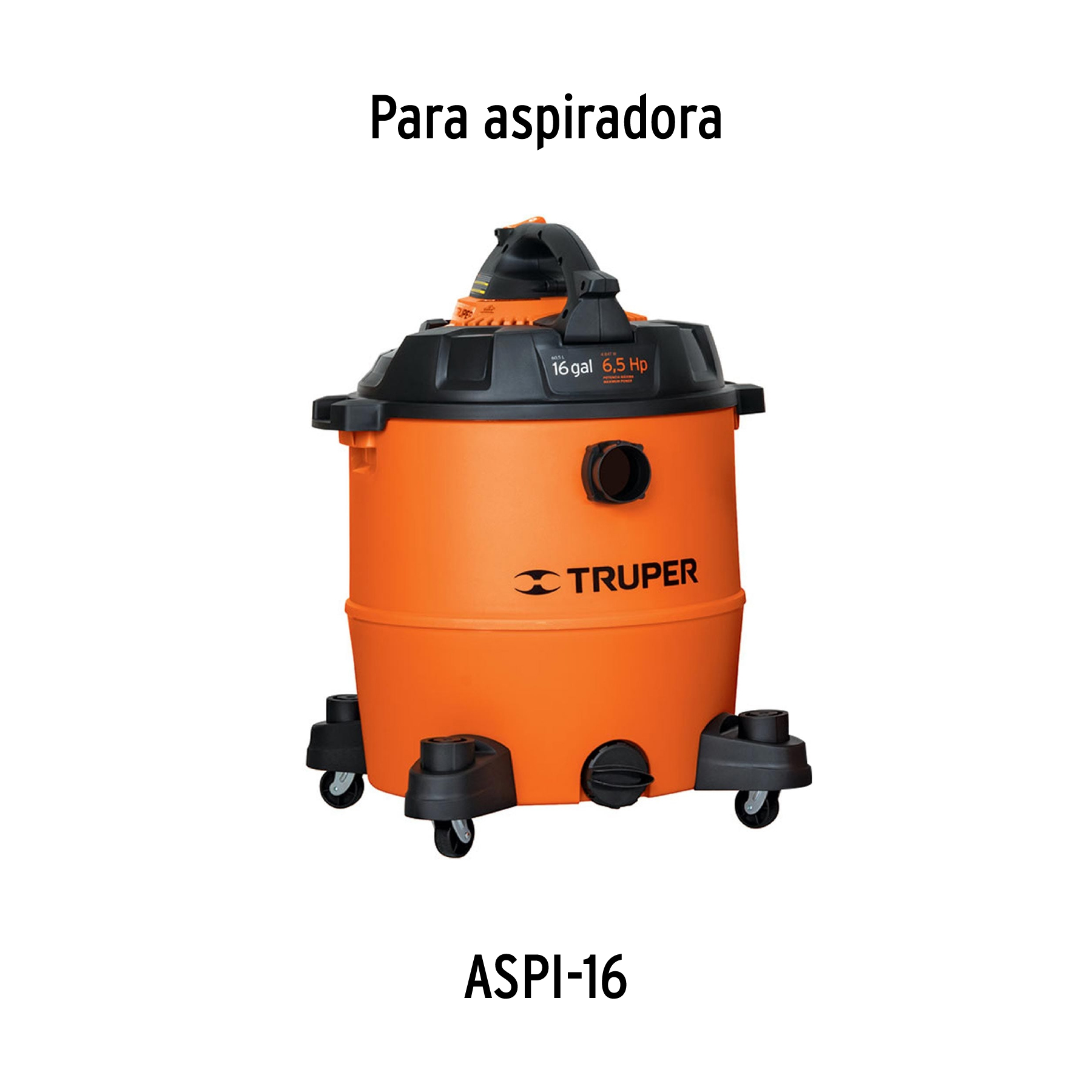 Bolsa con 2 carbones de repuesto para ASPI-16, TRUPER TRUPER