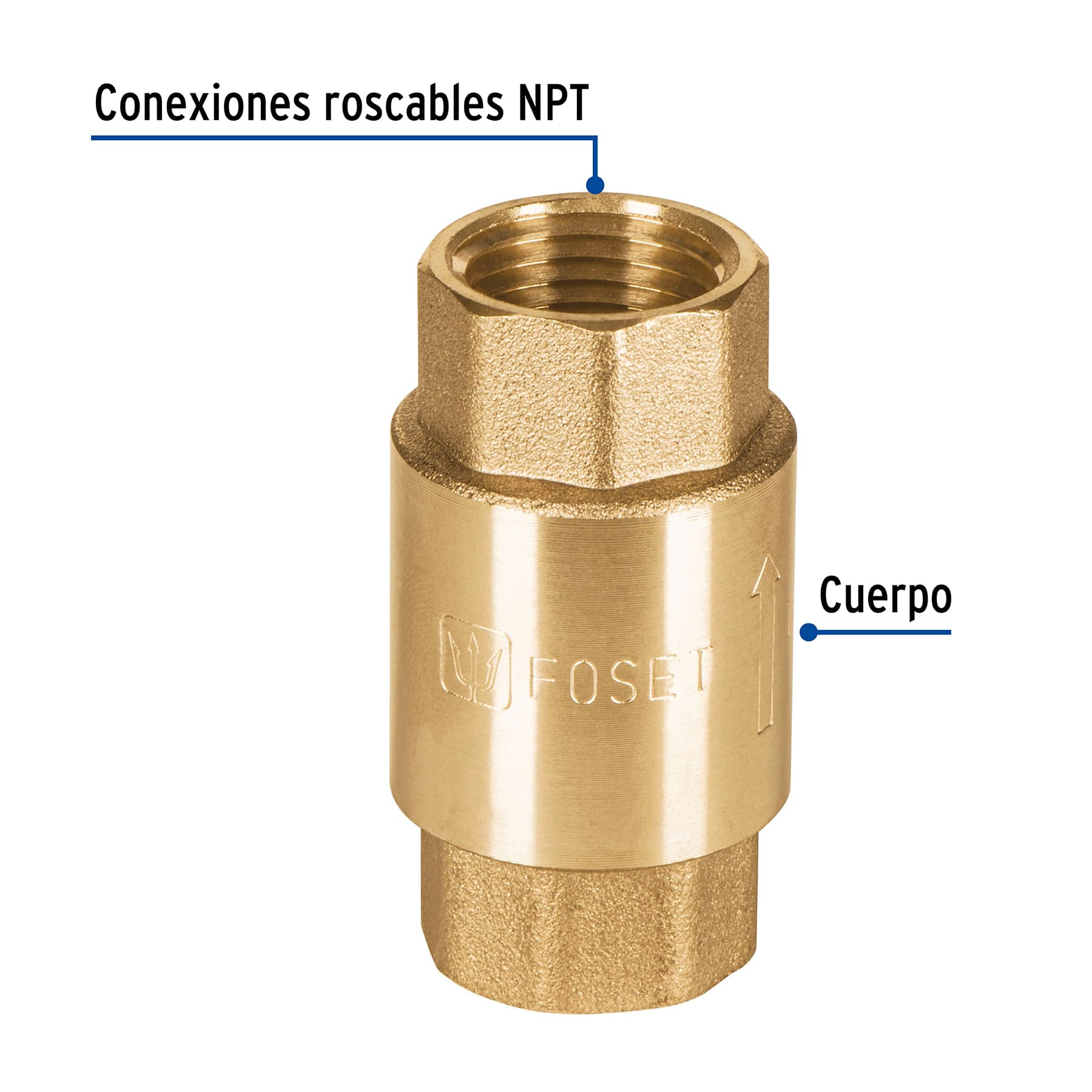 Válvula de retención de latón de 1/2", FOSET TRUPER