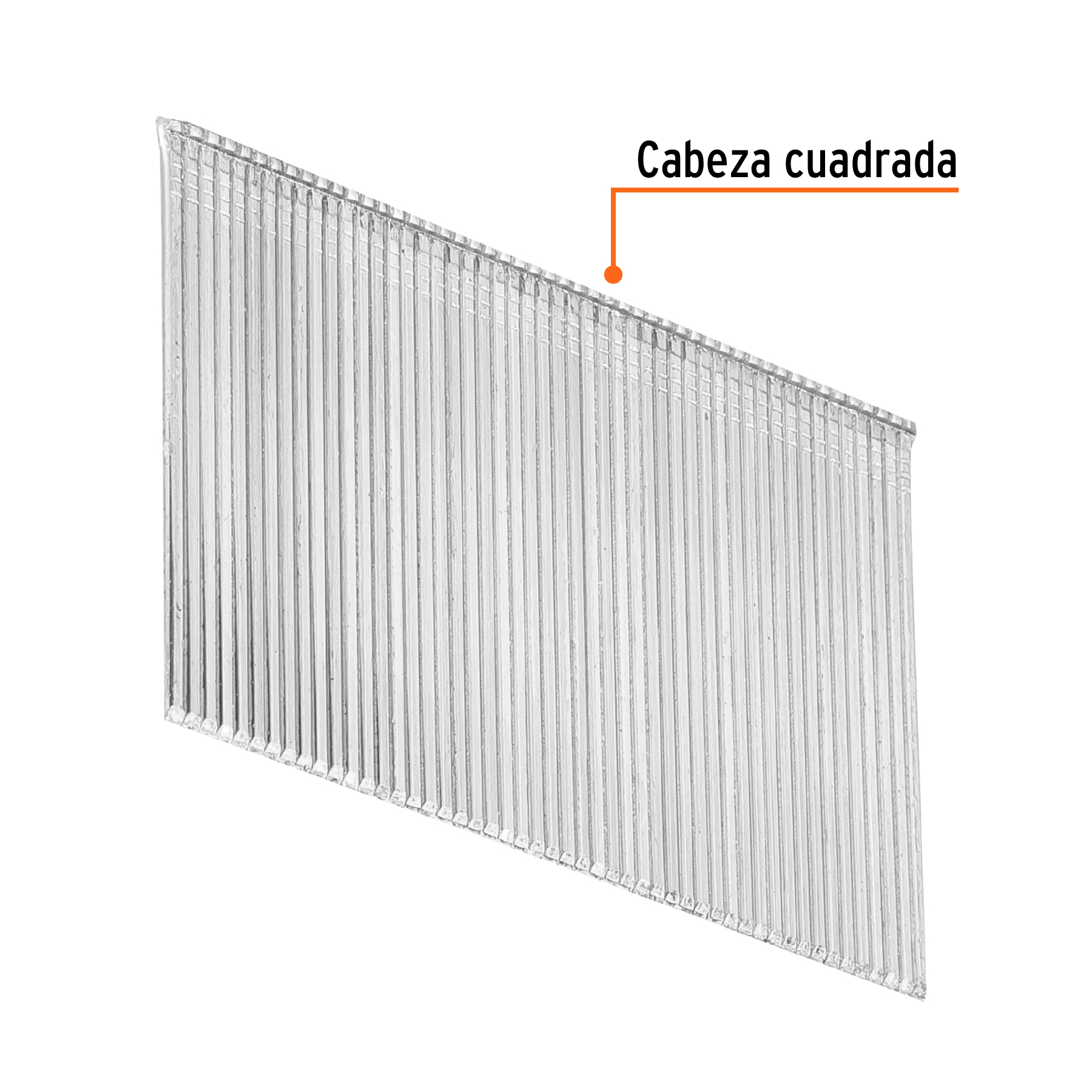 Caja con 2500 clavos calibre 16, 50 mm para CLNE-16, TRUPER TRUPER