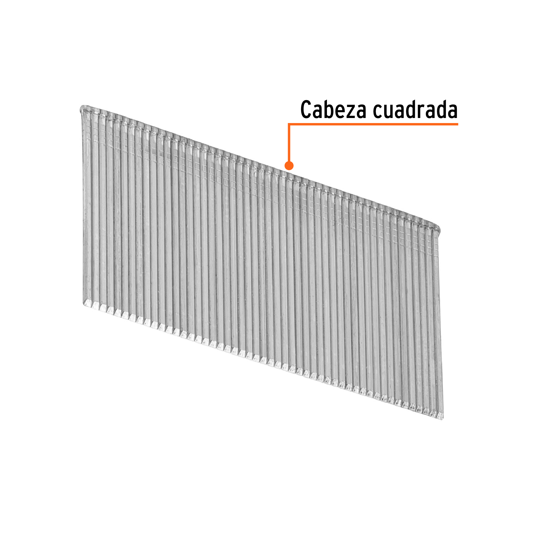 Caja con 2500 clavos calibre 16, 38 mm para CLNE-16, TRUPER TRUPER