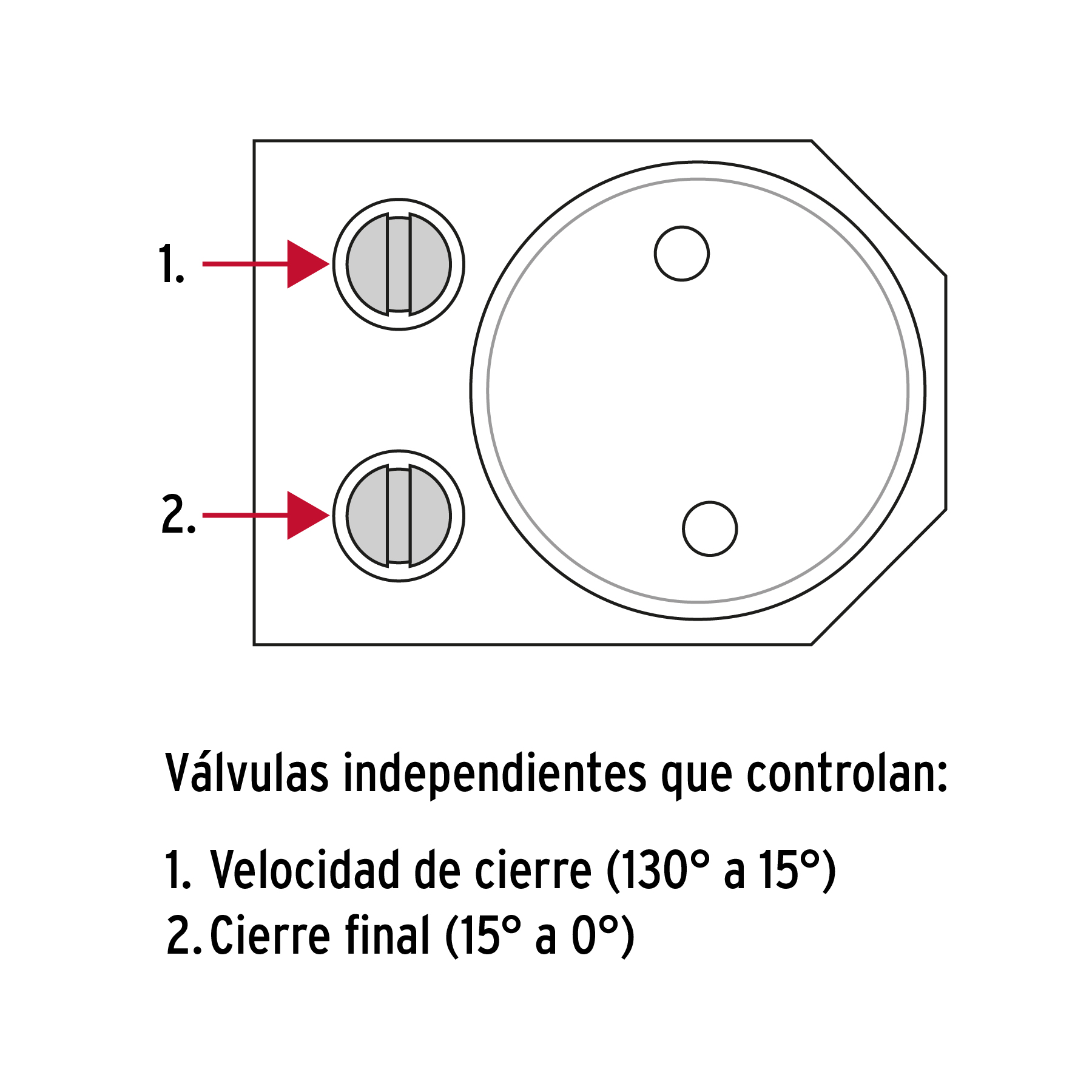 Cierrapuertas hidráulico color negro, HERMEX TRUPER
